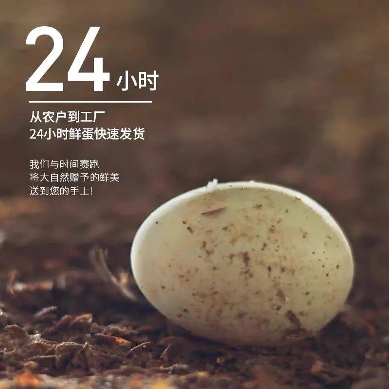 怡满村20枚【鄱阳湖散养鸭蛋】新鲜土鸭蛋散养鸭蛋现捡现发,淘宝优惠券,粉丝福利购,淘宝优惠卷