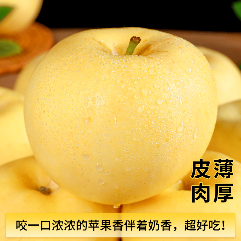 【喜仕鲜】黄金奶油富士苹果正宗山东烟台新鲜水果冰糖心牛奶包邮