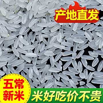 稻鲜莱五常真空大米10斤[4元优惠券]-寻折猪