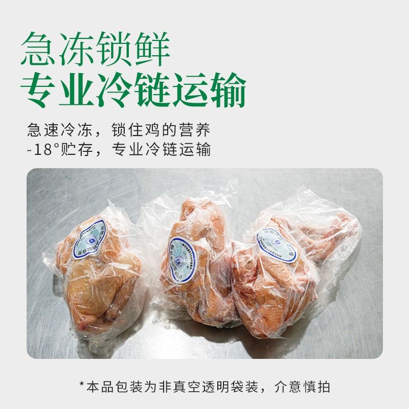 3只装蛋鲜森无抗徽州童子鸡650g*3只品种冷冻原种白切鸡-图2