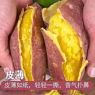 礼金+金币11.5！黄心龙九蜜薯沙地红薯9斤[5元优惠券]-寻折猪