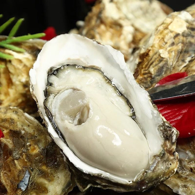 Fresh oysters Rushan fresh oysters whole box of oysters local seafood aquatic products can be sashimied