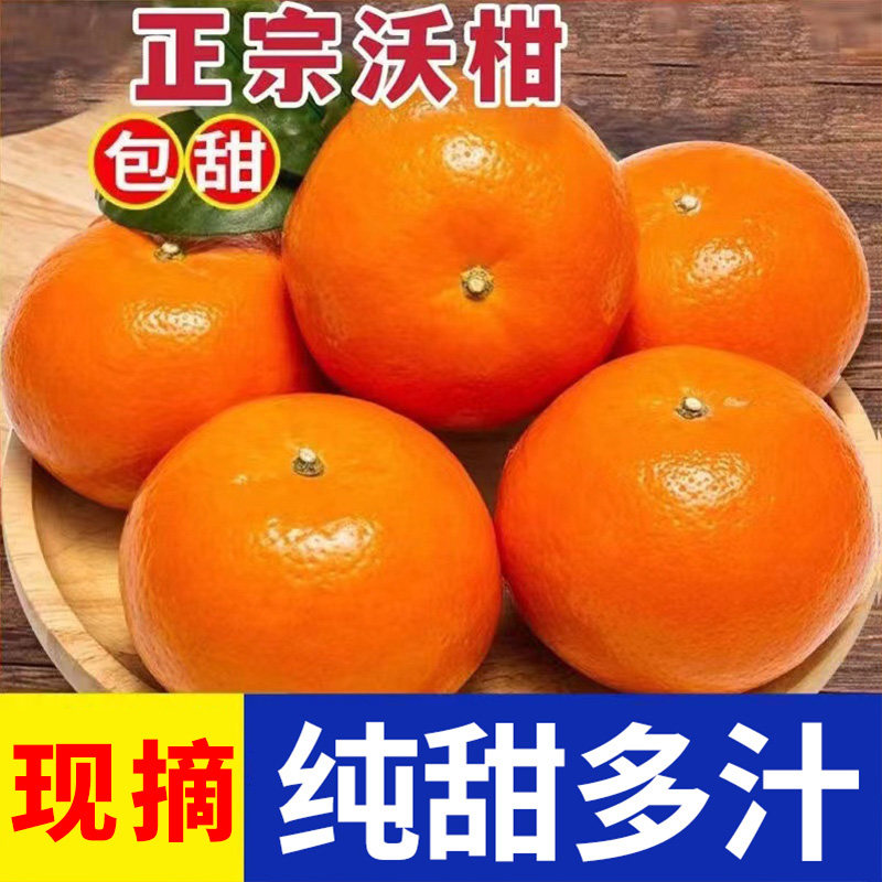 正宗云南爆甜沃柑当季新鲜现摘大果柑橘沙糖蜜桔子整箱广西武鸣县