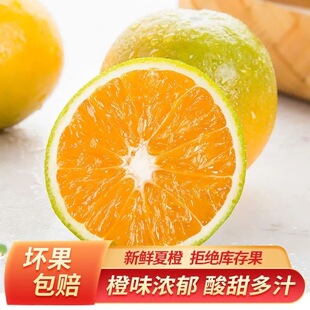 下拉11.5！现摘高山新鲜夏橙4.5斤