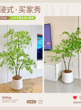 仿真绿植南天竹|超3000次加购