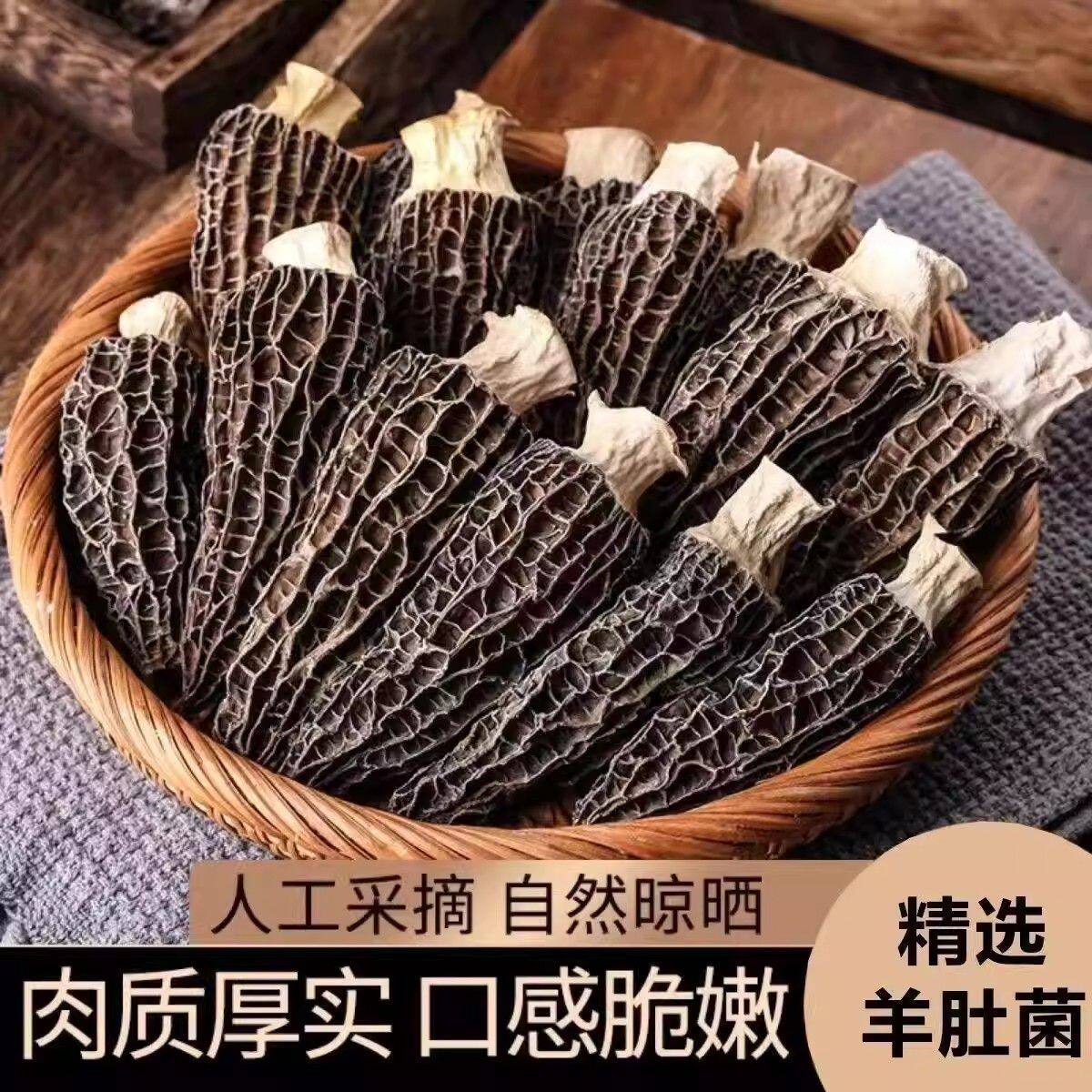 【果官宣】精选羊肚菌