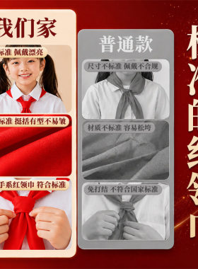 学生少先队员推荐通用标准红领巾