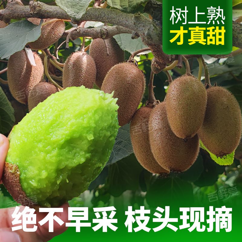 图 5