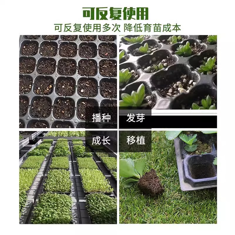 育苗盘育苗盆穴盘塑料杯种植神器营养钵蔬菜育种扦插盒育苗托盘盆 - 图0