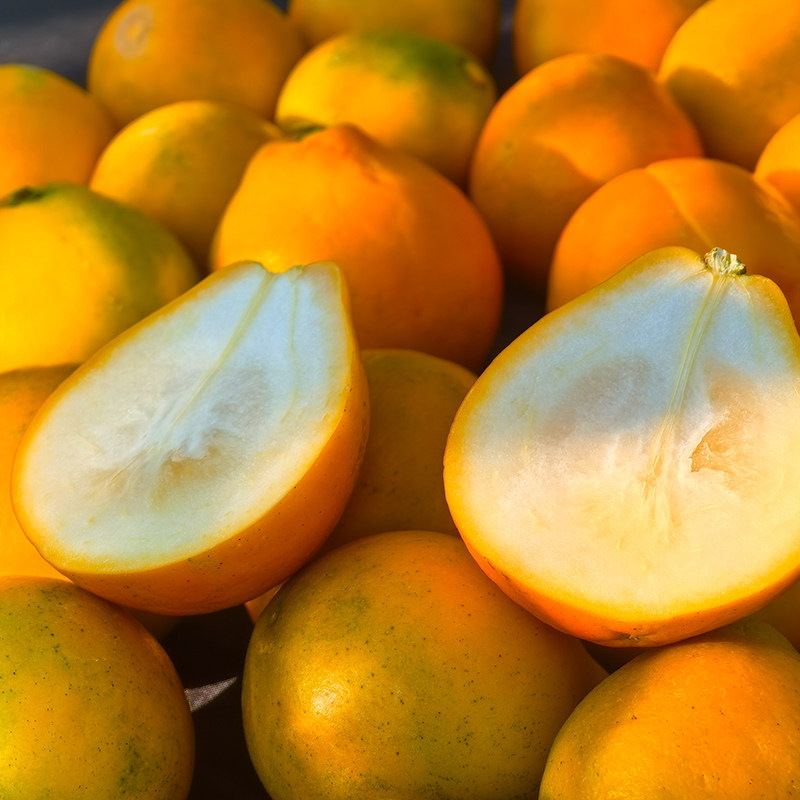 顺丰包邮融安脆蜜金柑广西正宗第三代脆蜜金桔特大果新鲜水果整箱,淘宝优惠券,粉丝福利购,淘宝优惠卷
