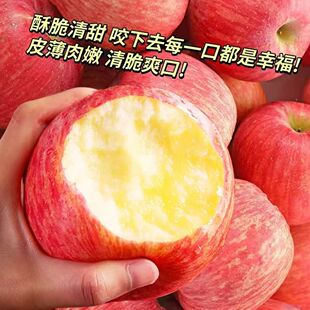 正宗山东红富士苹果4.5斤水果新鲜精品果