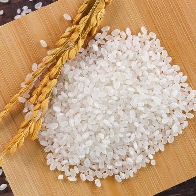 2025 New Rice Organic Germ Rice for Infants and Young Children
