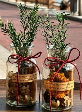 森系肉桂生财瓶大肚聚财书房办公室工位ins摆件房间招财客厅桌面