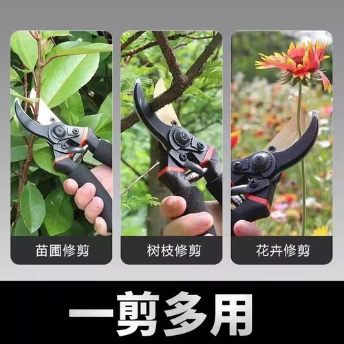 德国精工艺园剪刀剪树枝专用剪刀修枝剪果树剪花园林园艺弹簧剪子 - 图0