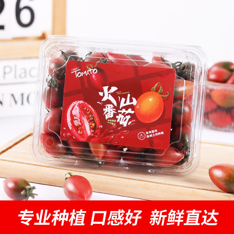 新鲜紫弹头小番茄福建产地发当季小西红柿孕妇水果减脂期水果番茄,淘宝优惠券,粉丝福利购,淘宝优惠卷