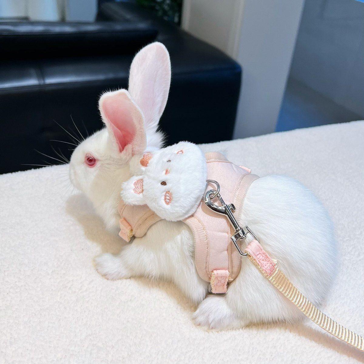 遛兔绳小兔子外出牵引绳兔绳防挣脱可调节溜兔绳可爱舒适网红兔绳,淘宝优惠券,粉丝福利购,淘宝优惠卷