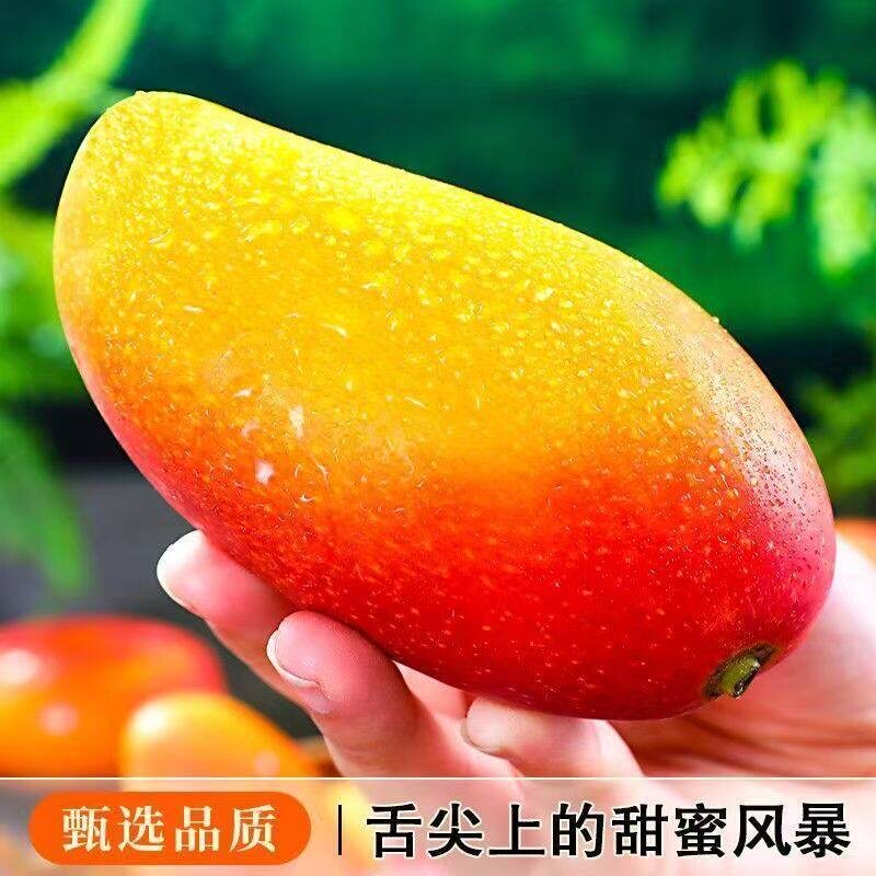 海南贵妃芒树上熟三亚芒果当季新鲜水果自然成熟特大果辣椒芒