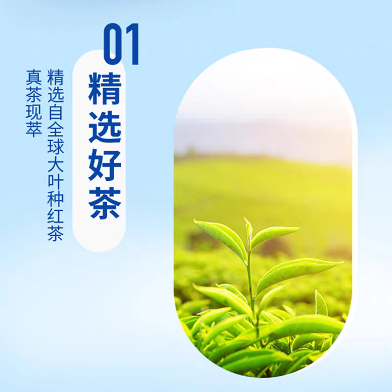 统一阿萨姆原味奶茶500ml口感丝滑奶茶饮品 热喝阿萨姆冬日好心情,淘宝优惠券,粉丝福利购,淘宝优惠卷