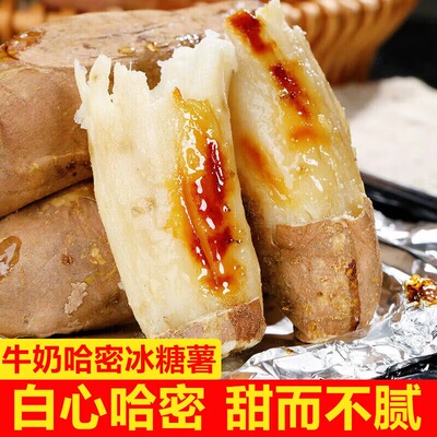 正宗山东哈密冰糖薯新鲜装