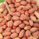 Five-spice peanuts, new arrival, garlic, five-spice rice, peanuts, satisfying snacks, nuts, roasted seeds, crispy and fresh