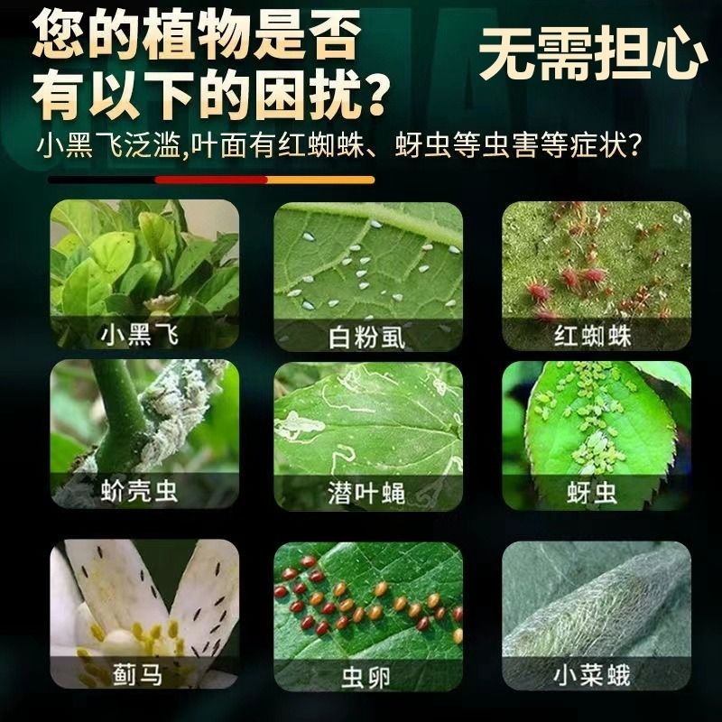 【英国专研】园艺防虫片防小黑虫飞蚜虫白粉虱菜蛾飞虫花卉驱虫片 - 图2