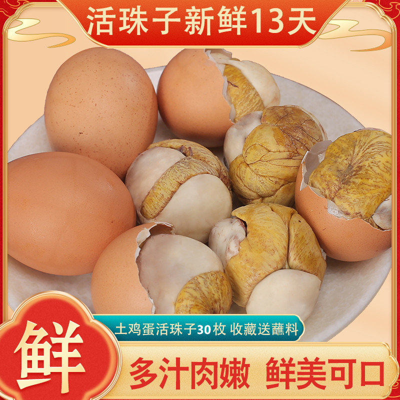 原味40枚新鲜13天活珠子开袋即食香辣鸡胚蛋10熟钢化蛋毛蛋毛鸡蛋 - 图1