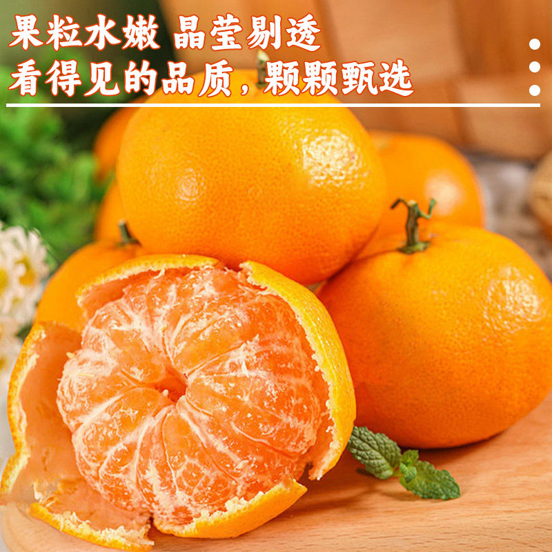 【交个朋友付定！交个朋友年货节】广西沃柑柑橘新鲜水果橘子桔子,淘宝优惠券,粉丝福利购,淘宝优惠卷