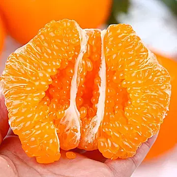 正宗眉山耙耙柑现采直发9斤[6元优惠券]-寻折猪