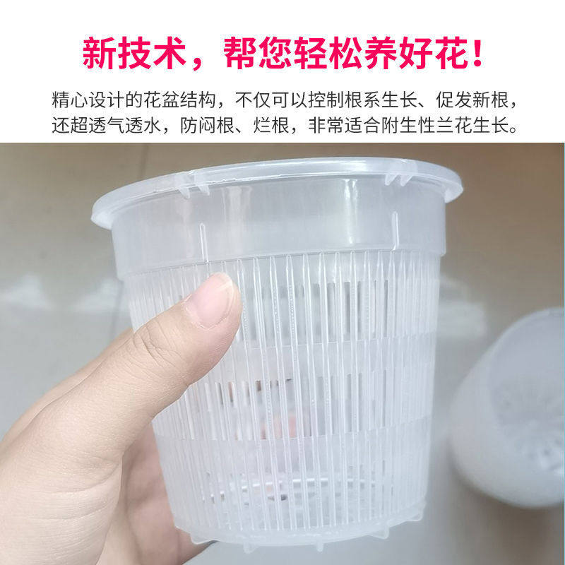 控根盆兰花专用盆透气控水防烂蝴蝶兰地面盆绿植盆桌面花卉盆园艺,淘宝优惠券,粉丝福利购,淘宝优惠卷