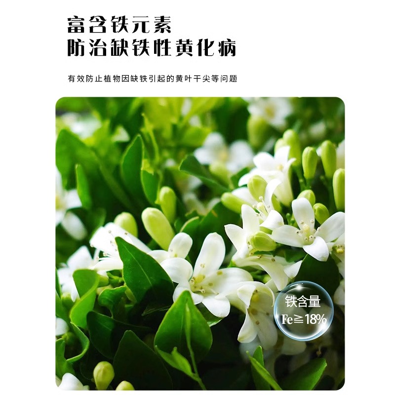 硫酸亚铁花肥料喜酸植物米兰栀子花茶花杜鹃桂花专用肥水溶肥家用 - 图1