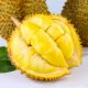 Thai Golden Pillow Durian with shell freshly picked durian pulp is soft and waxy and ripe on the old tree. The durian flesh is straight.