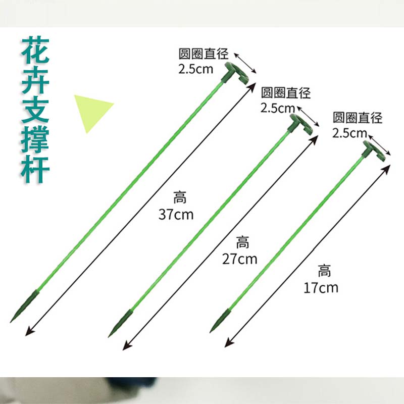 多肉支撑架吊兰支撑杆固定蝴蝶兰花架盆栽防倒伏造型铁艺 - 图2