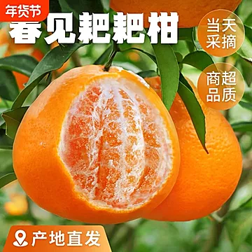 正宗眉山耙耙柑现采直发9斤[6元优惠券]-寻折猪