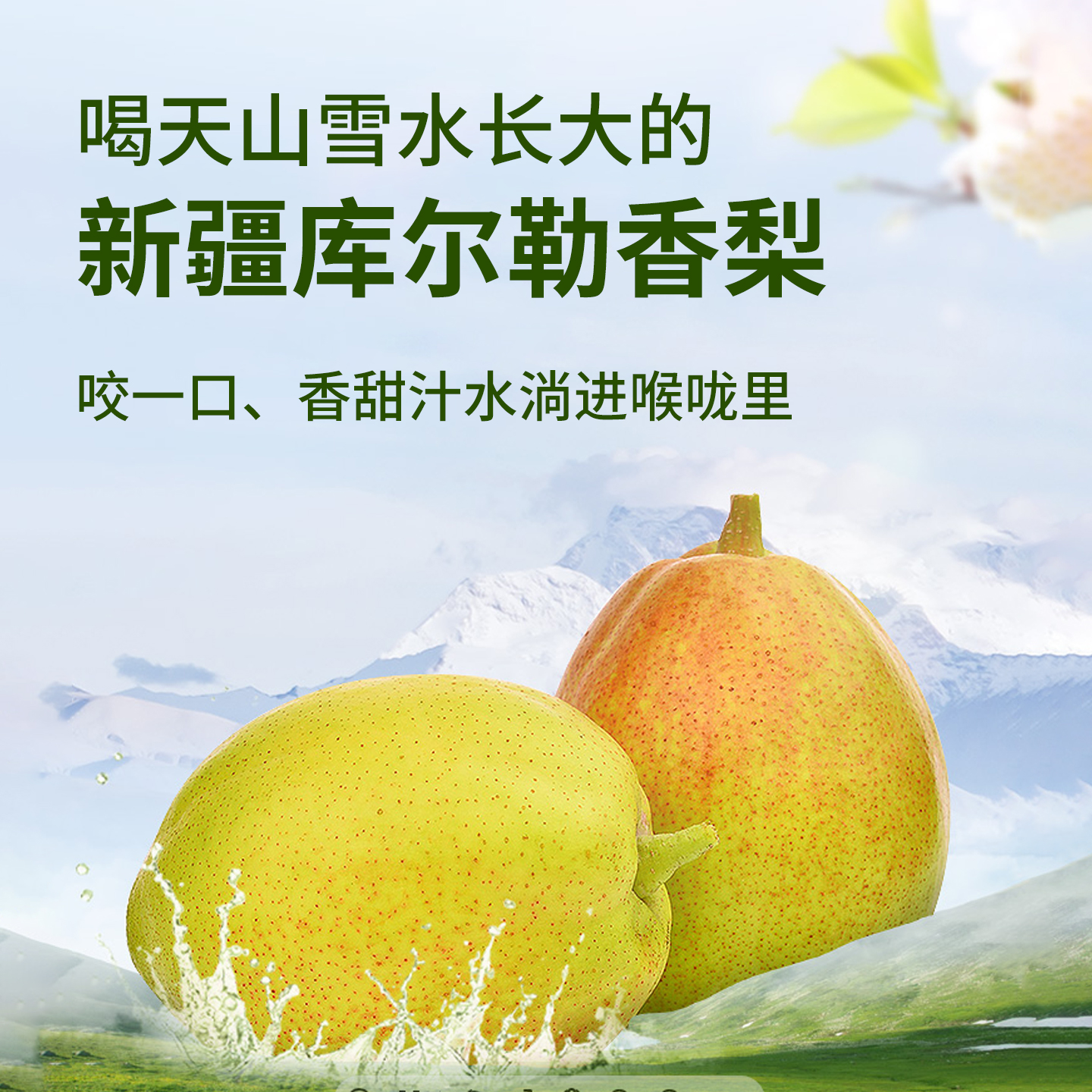 正宗新疆库尔勒香梨皮薄多汁化渣脆甜自然熟黄果发货红香酥梨实惠 - 图1