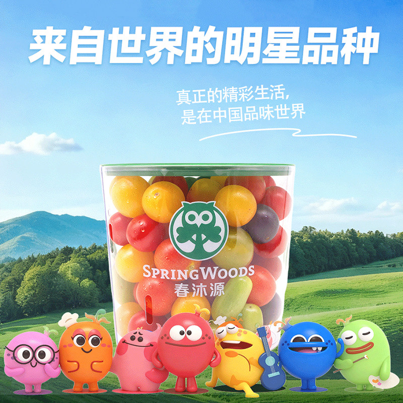 春沐源高原多彩番茄调色水果桶多彩多汁新鲜采摘小零食云南大理产,淘宝优惠券,粉丝福利购,淘宝优惠卷