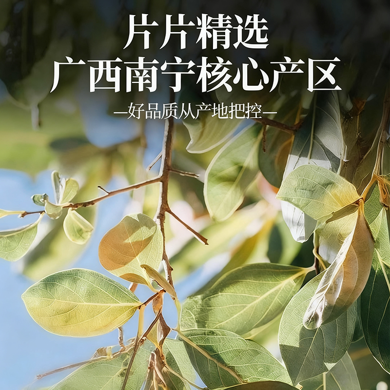 同仁堂柿子叶茶中药材正品官方旗舰店降高三血压霜后鲜摘干柿子叶,淘宝优惠券,粉丝福利购,淘宝优惠卷