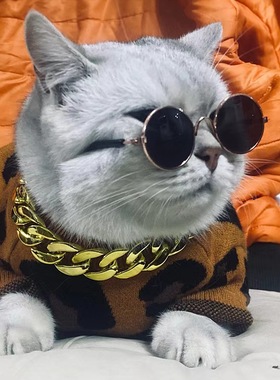 眼镜猫咪墨镜太阳镜棉花娃娃可爱装扮配饰圆脸强光护目超轻偏光