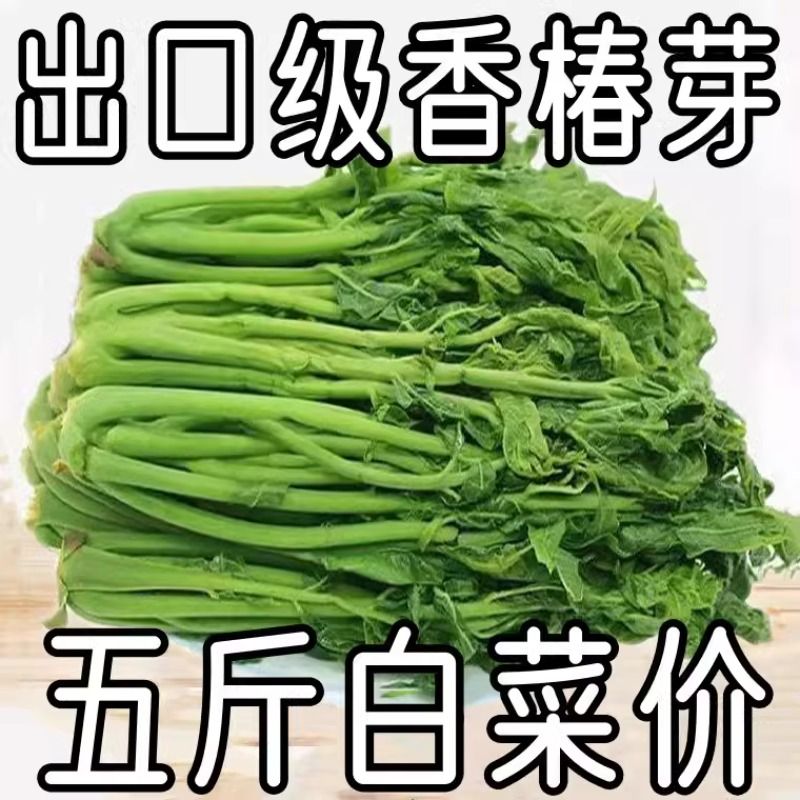 香椿芽头茬露天沂蒙山香椿山东红香椿2023腌制咸菜下饭菜蔬菜 - 图1