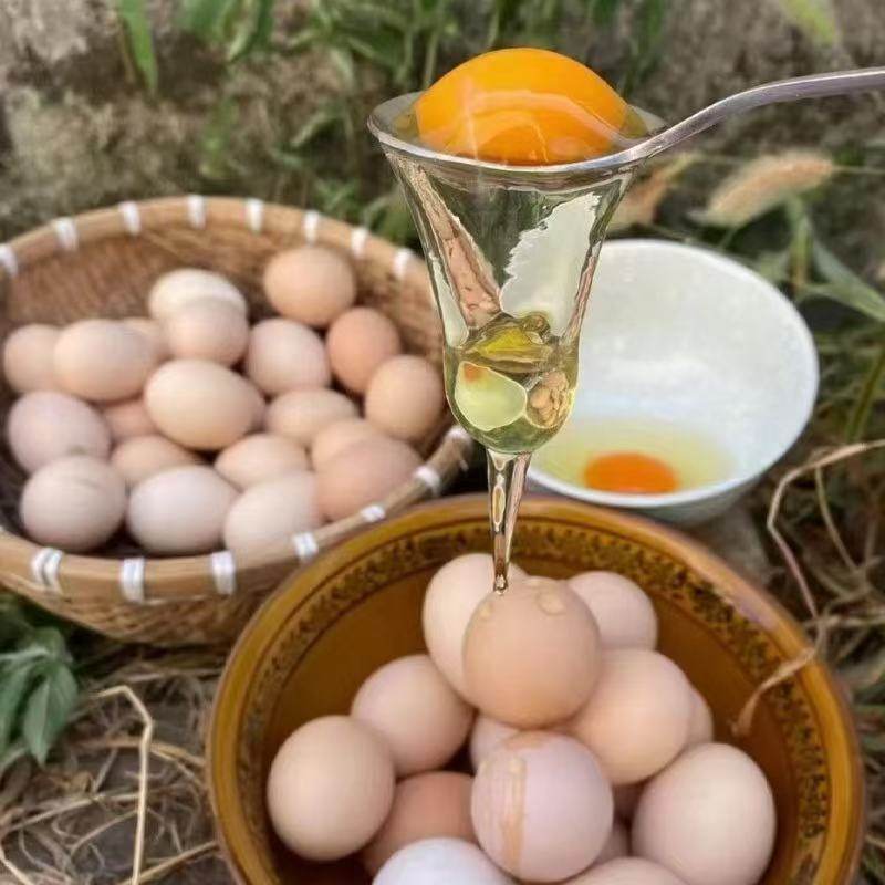 九华山土鸡蛋20枚起多规格山林散养农家笨鸡蛋柴鸡蛋新鲜顺丰包邮,淘宝优惠券,粉丝福利购,淘宝优惠卷