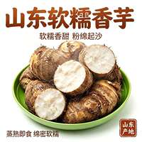 山东新鲜牛奶小芋头40g+中大果5斤