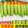 【桂青禾】5斤！现摘现发.广西高山青皮香蕉