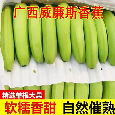 高山有机肥农家自种广西高山香蕉果新鲜母婴水果自然熟天然无添加