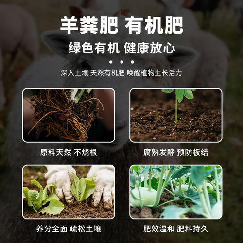 羊粪发酵有机肥料有机肥鸡粪肥纯羊粪颗粒花卉通用蔬菜腐熟羊粪蛋 - 图1
