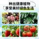 Nutrient soil, general purpose flower soil for flower cultivation