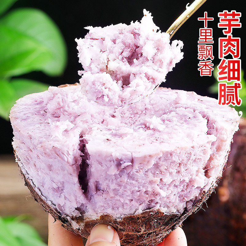 广西荔浦大芋头新鲜正宗现挖大粉香芋槟榔芋紫藤毛芋9斤整箱包邮,淘宝优惠券,粉丝福利购,淘宝优惠卷