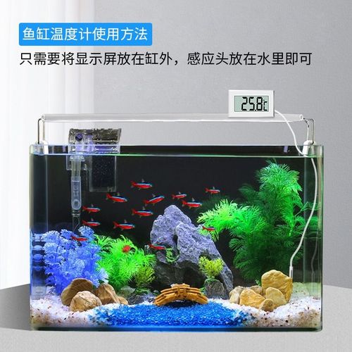 温度计高精度鱼缸专用电子温度传感器油温水温防水测量高清显示