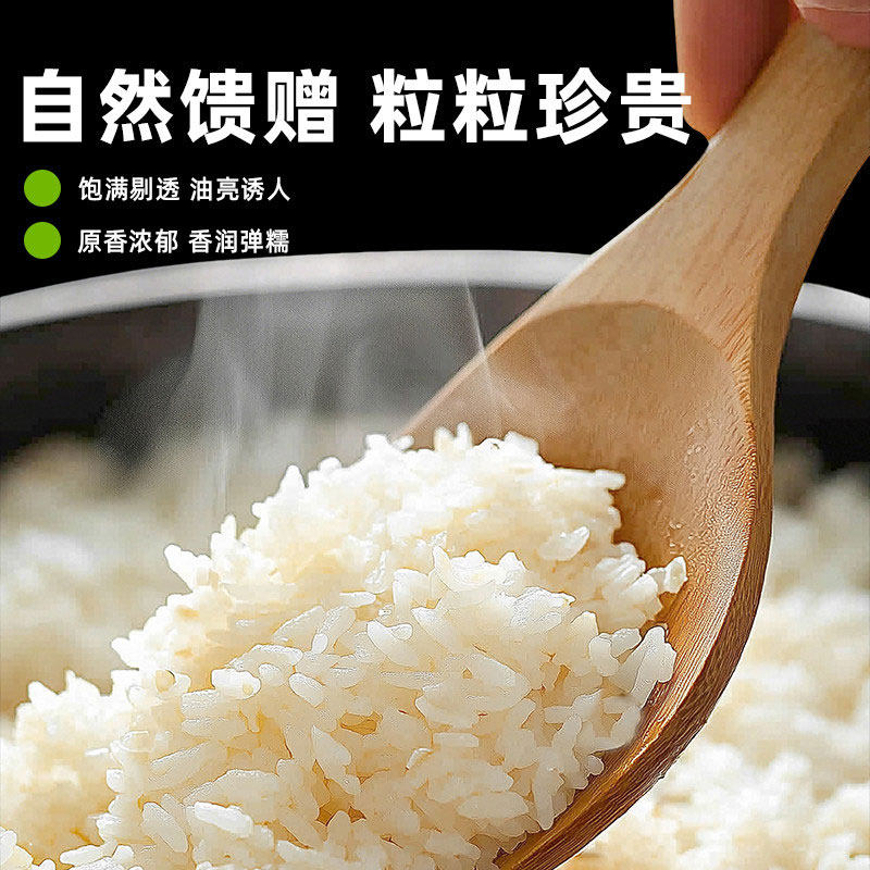 【芭芭农场兑换专享】东北长粒香米3斤当季新米