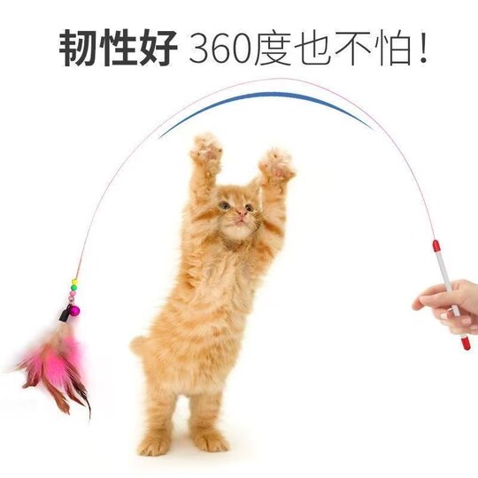 Feather with bells to tease cat stick