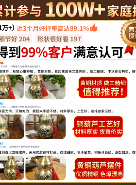 黄铜避火龙瓶客厅厨房摆件