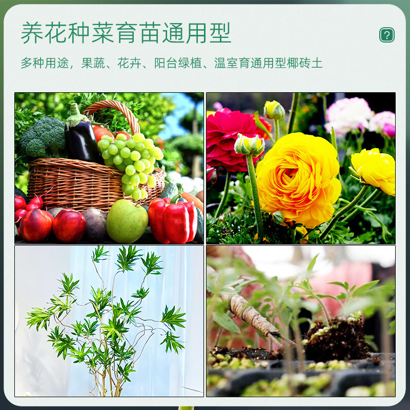 椰砖营养土养花种菜通用型大块脱盐无菌多肉椰土壤椰糠粗椰壳种植